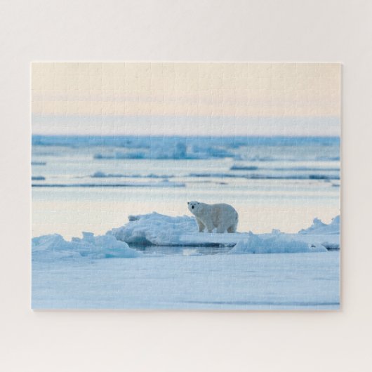 IJs en sneeuw | Polar Beer Iceberg Noorwegen Legpuzzel (Horizontaal)