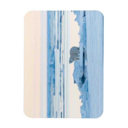 IJs en sneeuw | Polar Beer Iceberg Noorwegen Magneet (Verticaal)