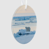 IJs en sneeuw | Polar Beer Iceberg Noorwegen Ornament (voorkant)