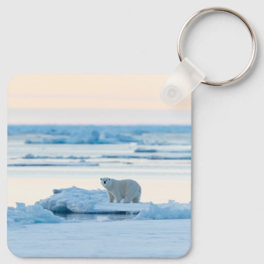 IJs en sneeuw | Polar Beer Iceberg Noorwegen Sleutelhanger (Achterkant)