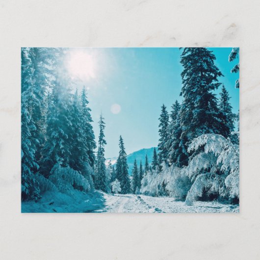 IJs en sneeuw | Reserve voor de Natuur van Altai, Briefkaart (Voorkant)