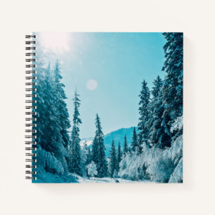 IJs en sneeuw Reserve voor de Natuur van Altai, Notitieboek