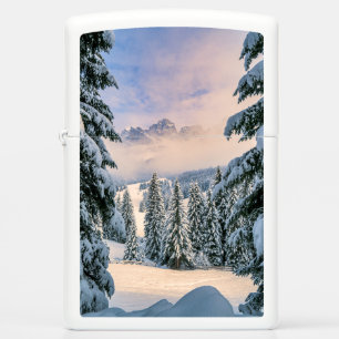 IJs en sneeuw   Rosengarten, Duitsland