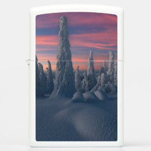 IJs en sneeuw   Sneeuwwerende bomen, Lapland, Finl