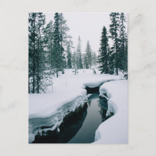 IJs en sneeuw Streaming in een sneeuwwinterlands Briefkaart