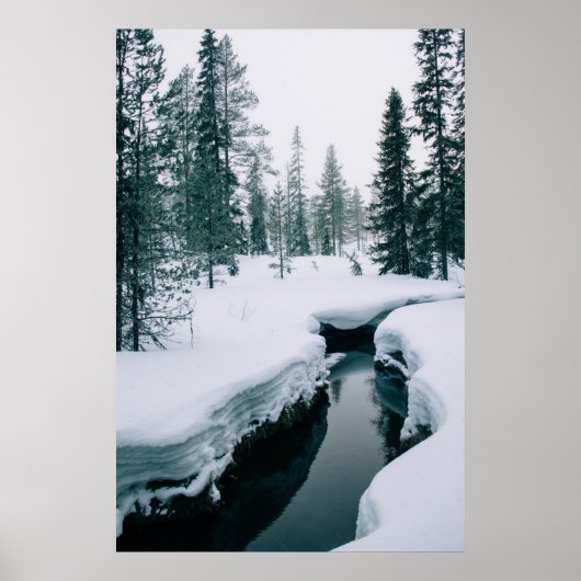 IJs en sneeuw | Streaming in een sneeuwwinterlands Poster (Voorkant)