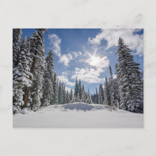 IJs en sneeuw   Sunrise Snow Alberta, Canada Briefkaart