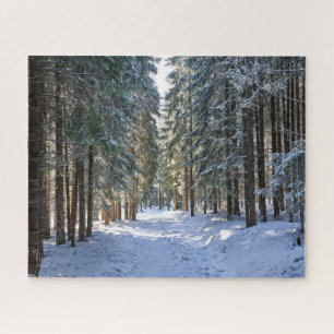 IJs en sneeuw Tatra-gebergte, Polen Legpuzzel