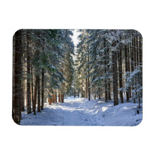 IJs en sneeuw Tatra-gebergte, Polen Magneet