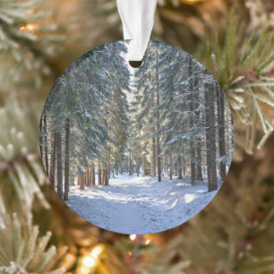 IJs en sneeuw   Tatra-gebergte, Polen Ornament