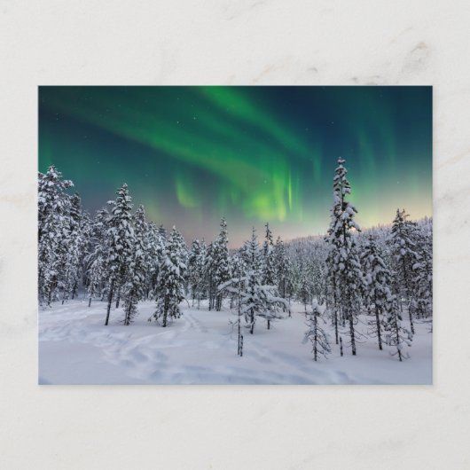 IJs en sneeuw | Winterlandschap in Finland Briefkaart (Voorkant)