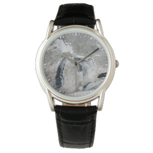 IJs op de Grote Meren, Verenigde Staten. Horloge
