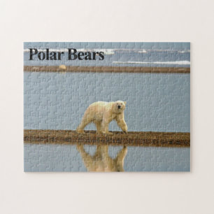 Ijsbeer 9 Puzzel