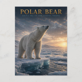 Ijsbeer Arctisch Zee-ijs DIEREN Briefkaart