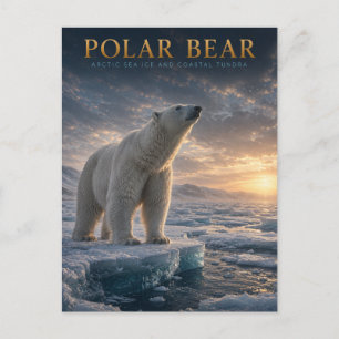 Ijsbeer Arctisch Zee-ijs DIEREN Briefkaart