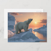 IJsbeer Briefkaart (Voorkant / Achterkant)