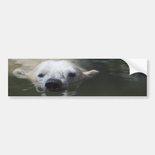 Ijsbeer Bumpersticker