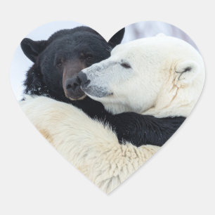 Ijsbeer en zwarte beer knuffelen hart sticker