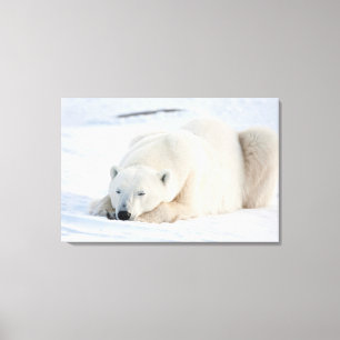 Ijsbeer in de winter canvas afdruk