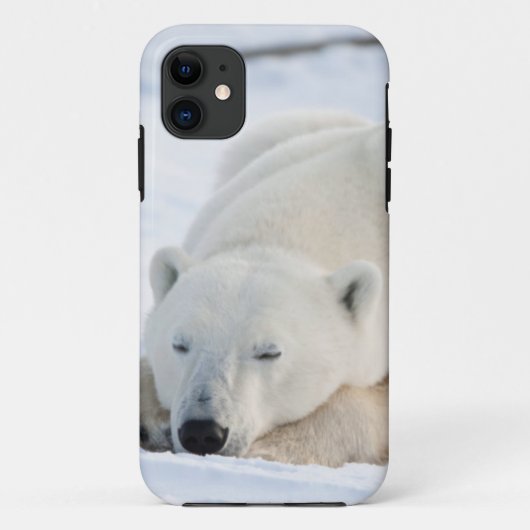 Ijsbeer in de winter Case-Mate iPhone case (Achterkant)