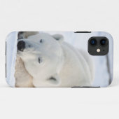 Ijsbeer in de winter Case-Mate iPhone case (Achterkant (horizontaal))