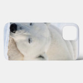 Ijsbeer in de winter Case-Mate iPhone case (Achterkant (horizontaal))