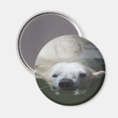 Ijsbeer Magneet (Voorkant / Achterkant)