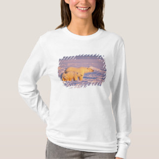 Ijsbeer met lentewelpen op het bevroren t-shirt