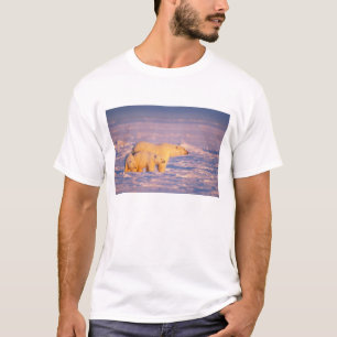 Ijsbeer met lentewelpen op het bevroren t-shirt