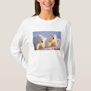 Ijsbeer met welp op pakijs t-shirt
