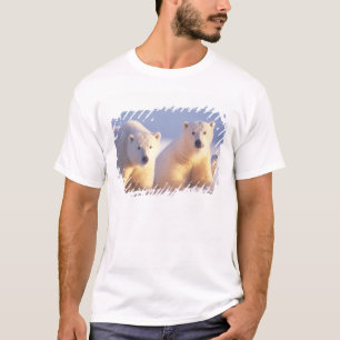 Ijsbeer met welp op pakijs t-shirt