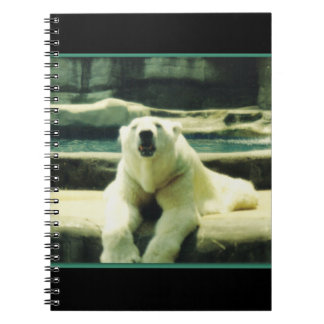 IJsbeer Notitieboek