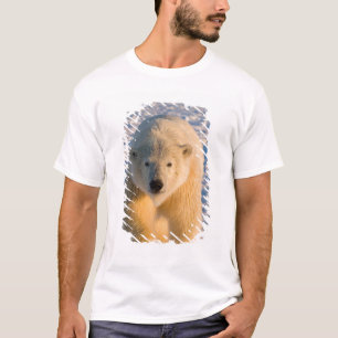 ijsbeer, Ursus maritimus, ijsbeer op ijs T-shirt