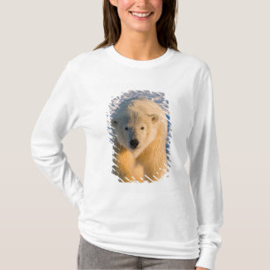 ijsbeer, Ursus maritimus, ijsbeer op ijs T-shirt