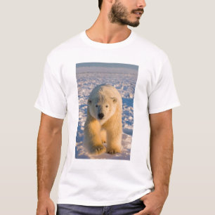 ijsbeer, Ursus maritimus, ijsbeer op ijs T-shirt