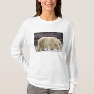 Ijsbeer Ursus maritimus) in Churchill T-shirt