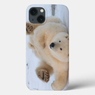 ijsbeer, Ursus maritimus, jong dier rolt 3 iPhone 13 Hoesje