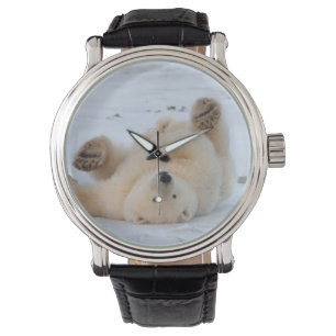 ijsbeer, Ursus maritimus, jong dier rolt 3 Horloge