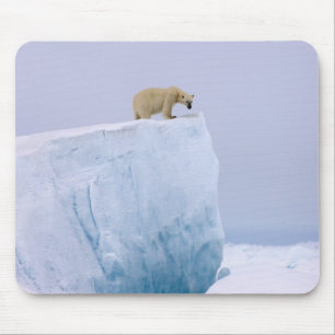 ijsbeer, Ursus maritimus Muismat