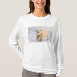 ijsbeer, Ursus maritimus, op ijs en sneeuw, 2 T-shirt