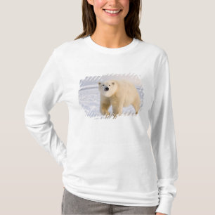 ijsbeer, Ursus maritimus, op ijs en sneeuw, 2 T-shirt