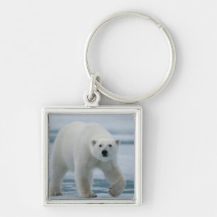 Ijsbeer, Ursus Maritimus, Volwassen Sleutelhanger