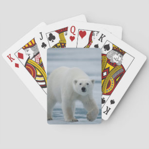 Ijsbeer, Ursus Maritimus, Volwassen Speelkaarten