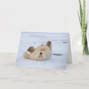 ijsbeer, Ursus maritimus, welp rollend 3 Kaart