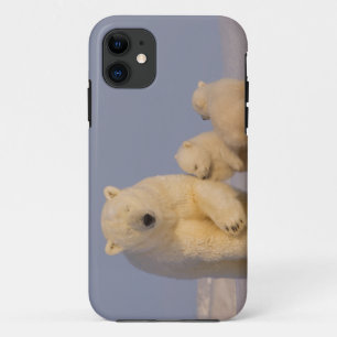 ijsbeer, Ursus maritimus, zeug met pasgeborene iPhone 11 Hoesje