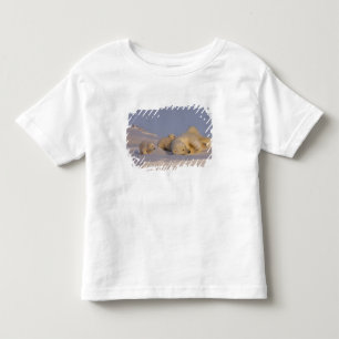 ijsbeer, Ursus maritimus, zeug speelt Kinder Shirts