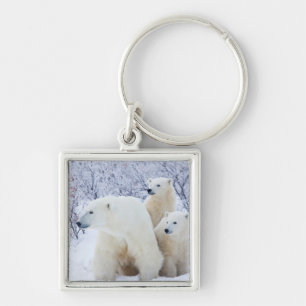 Ijsberen en twee welpen sleutelhanger