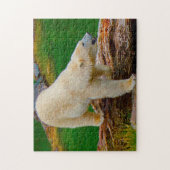 IJsberen. Legpuzzel (Verticaal)
