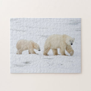 IJsberen vrouwtje en twee welpen Legpuzzel