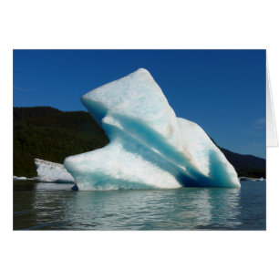 Ijsberg op Mendenhall Lake in Alaska